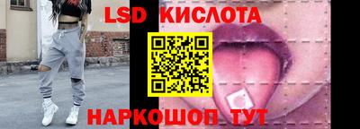 хмурый Сланцы