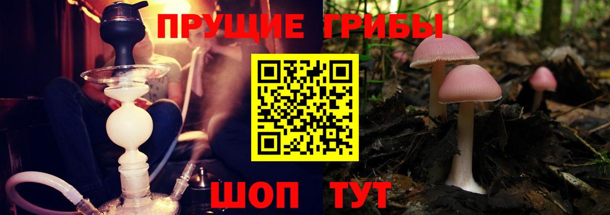 Галлюциногенные грибы Magic Shrooms  Вход с VPN  магазин продажи   Сегежа  Псилоцибиновые грибы прущие грибы 