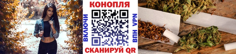 Бошки марихуана планчик  даркнет сайт  Сегежа 